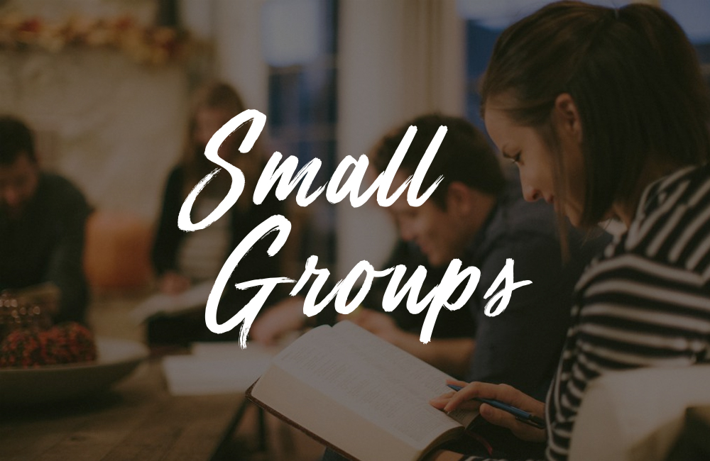 Small Bible Study Groups